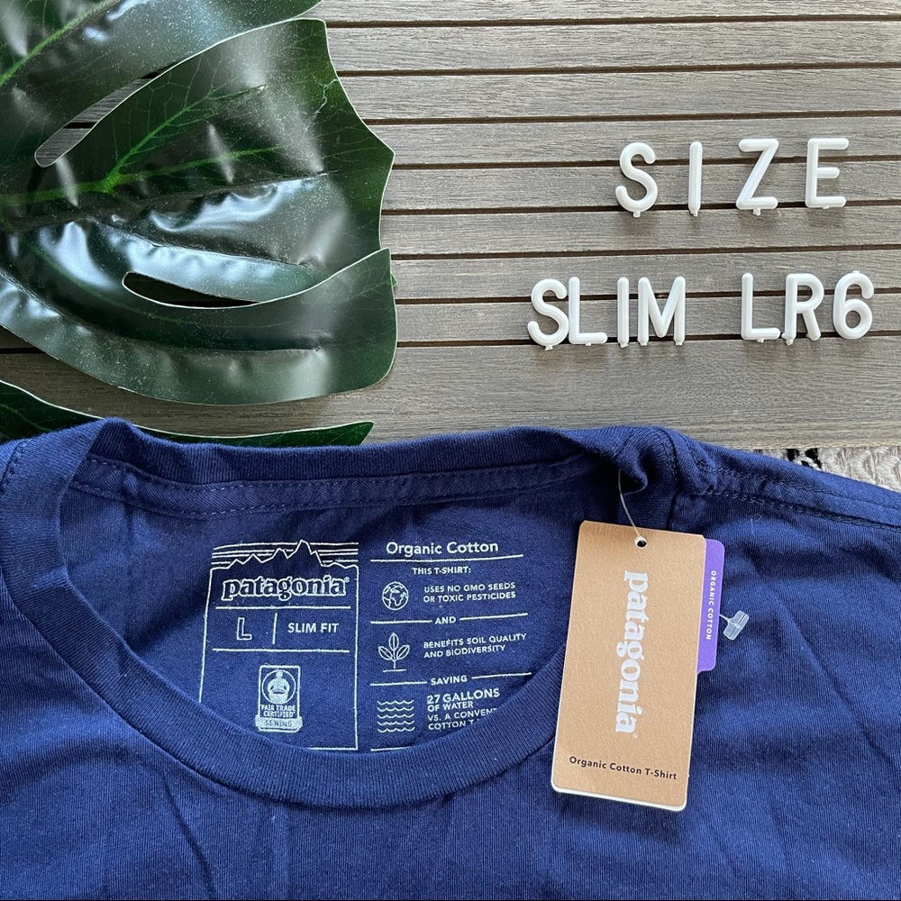 Patagonia Organic Cotton Men’s Slim Fit Tee